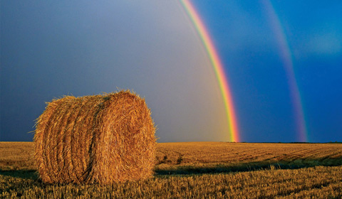 Prarie and Beyond by Mike Grandmaison