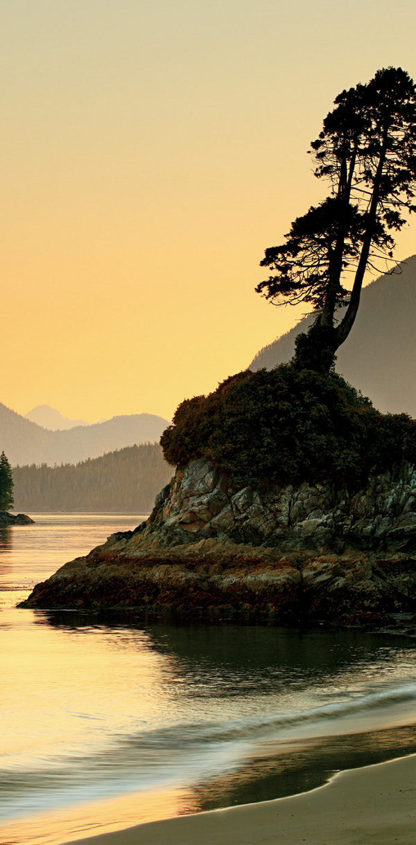 Nature is my Kingdom British Columbia Canada canon 5D MK II 70-200mm Manfrotto Tripod