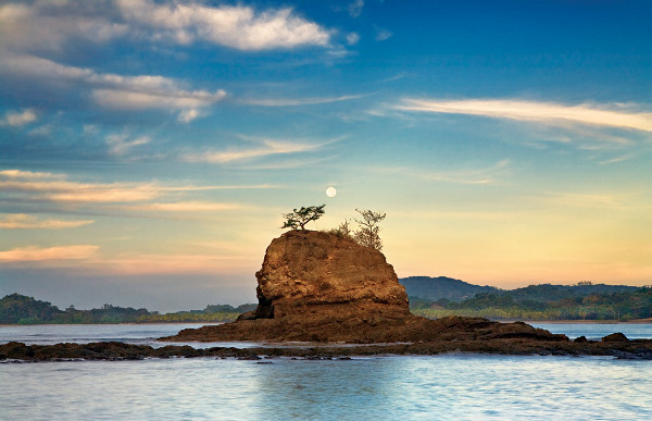 Nature is my Kingdom Costa Rica Canon 5D 24-70 Manfrotto Tripod