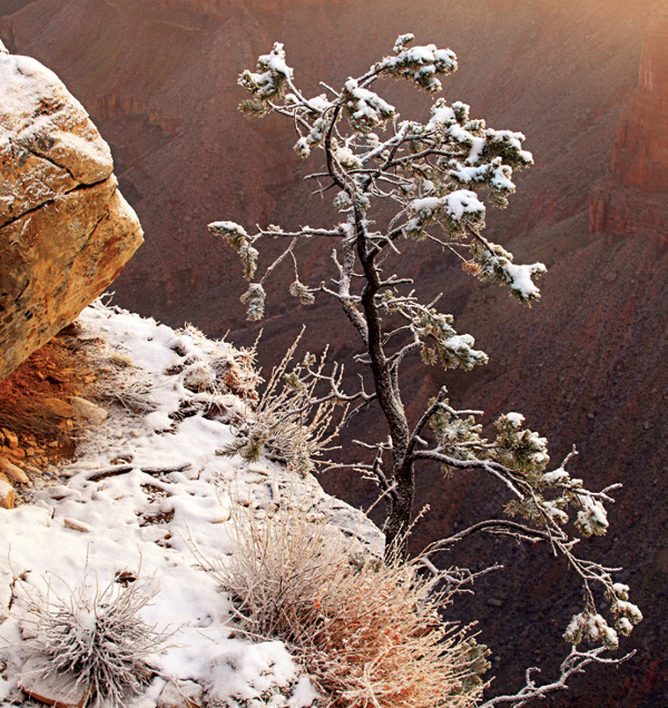 Nature is my Kingdom Grand Canyon Arizona canon 5D MK II 70-200 Manfrotto Tripod