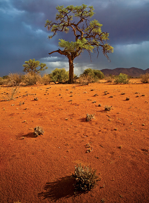 Nature is my Kingdom Namibia Africa Canon 5D 17-40 Gitzo Traveler Tripod