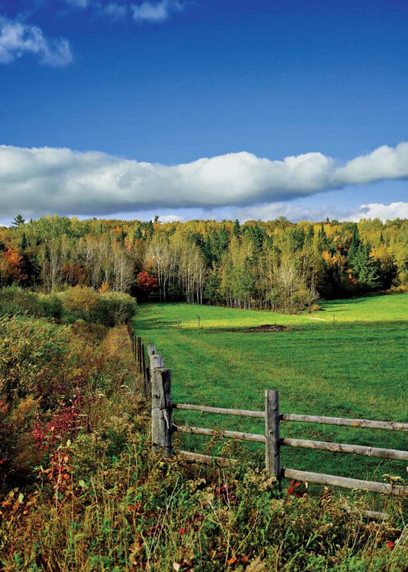 PHOTONews Autumn Flickr Contest Back Roads of the Bar River Area Frank De Simon Sault Ste Marie Ontario