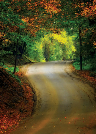 PHOTONews Autumn Flickr Contest Gravel Country Road Ivan Sorensen