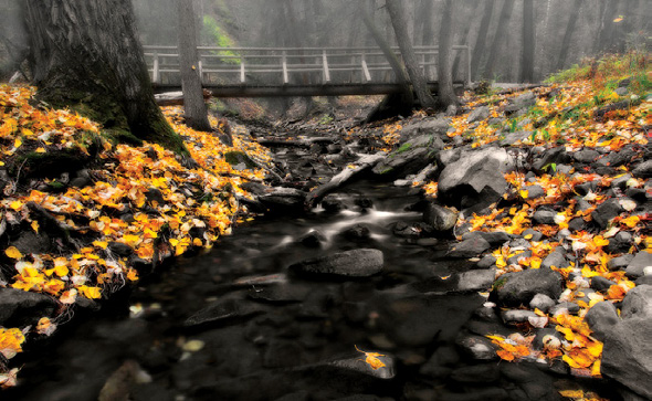 PHOTONews Autumn Flickr Contest Miner's Path Than Vanderaegen Coleman Alberta