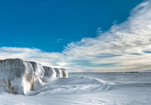 PHOTONews Winter 2010 Challenge Snow Covered Hay Bales Grassy Lake Alberta Patrick Kavanagh