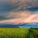 Photo Copyright Dan Jurak - Summer Landscapes 4