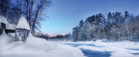 Winter Photography River Trees Frozen