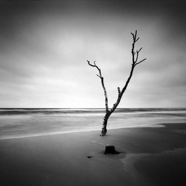 Photo Copyright Hakan Strand - By The Water II, Sweden