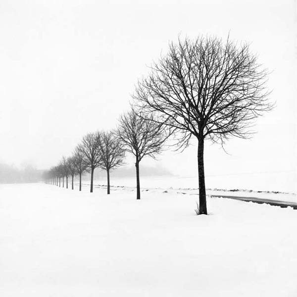 Photo Copyright Hakan Strand - Snow Scene XXVI, Sweden