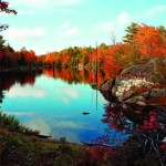 Photo Copyright Norman Piluke - Beaver Pond