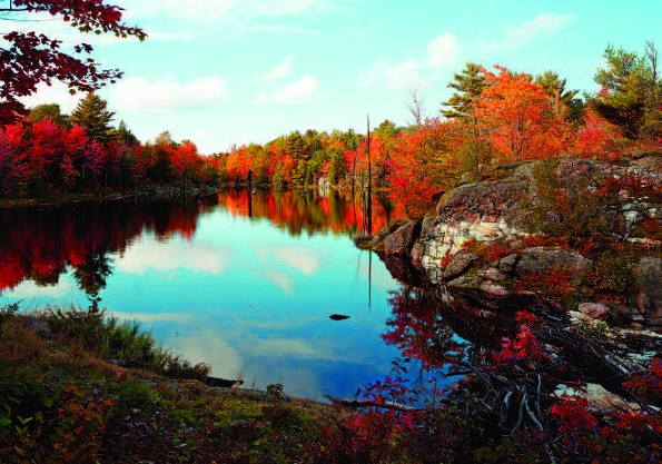 Photo Copyright Norman Piluke - Beaver Pond