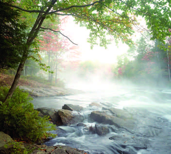 Photo Copyright Norman Piluke - Rapids in the Mist