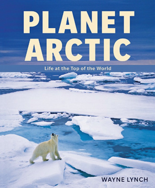 Ginette Lapoint - PHOTONews Bookshelf - Planet Arctic Life at the Top of the World by Wayne Lynch