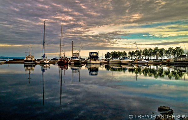 Parking by Trevor Anderson