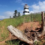 Eli Amon - Gearing up for Photo Adventures - Low Wide Angle Lighthouse