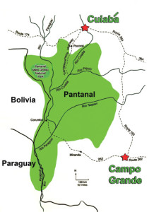 Wayne Lynch - The Pantanal - Brazil's Wildlife Paradise - Brazil Map