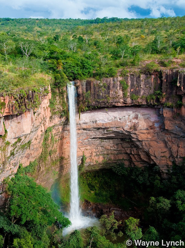 Wayne Lynch - The Pantanal - Brazil's Wildlife Paradise - Waterfall
