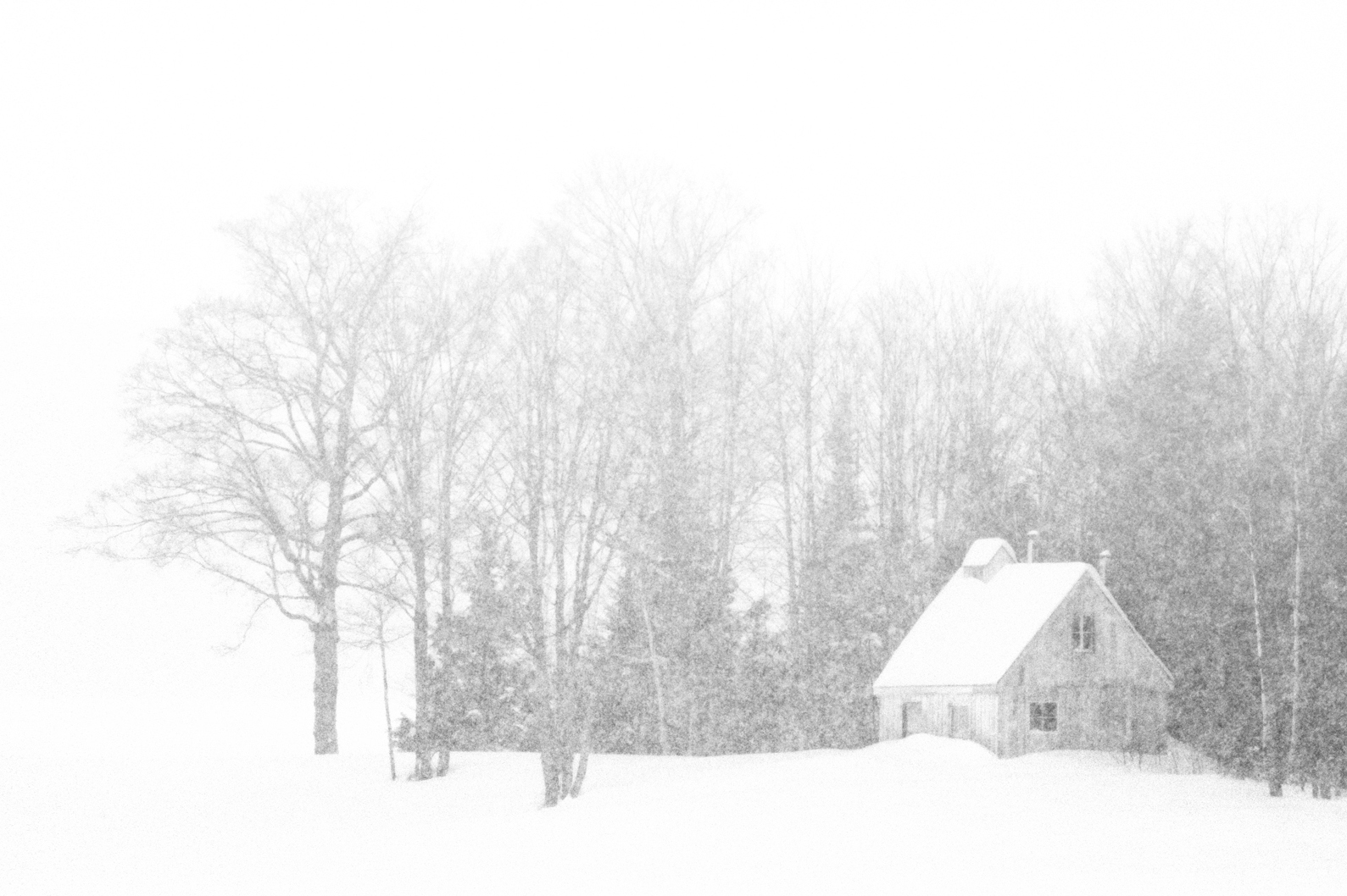 Bordée de Neige - Renald Bourque