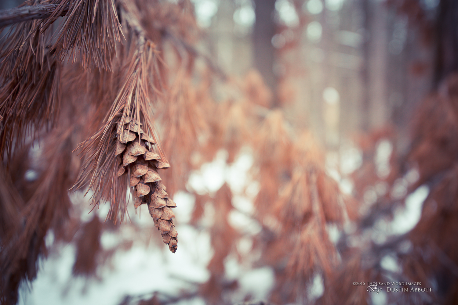 Soft and Sharp - Tamron SP 15-30mm f/2.8 VC