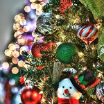 Photograph Holiday Decorations