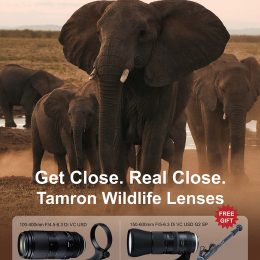 Tamron March Promo