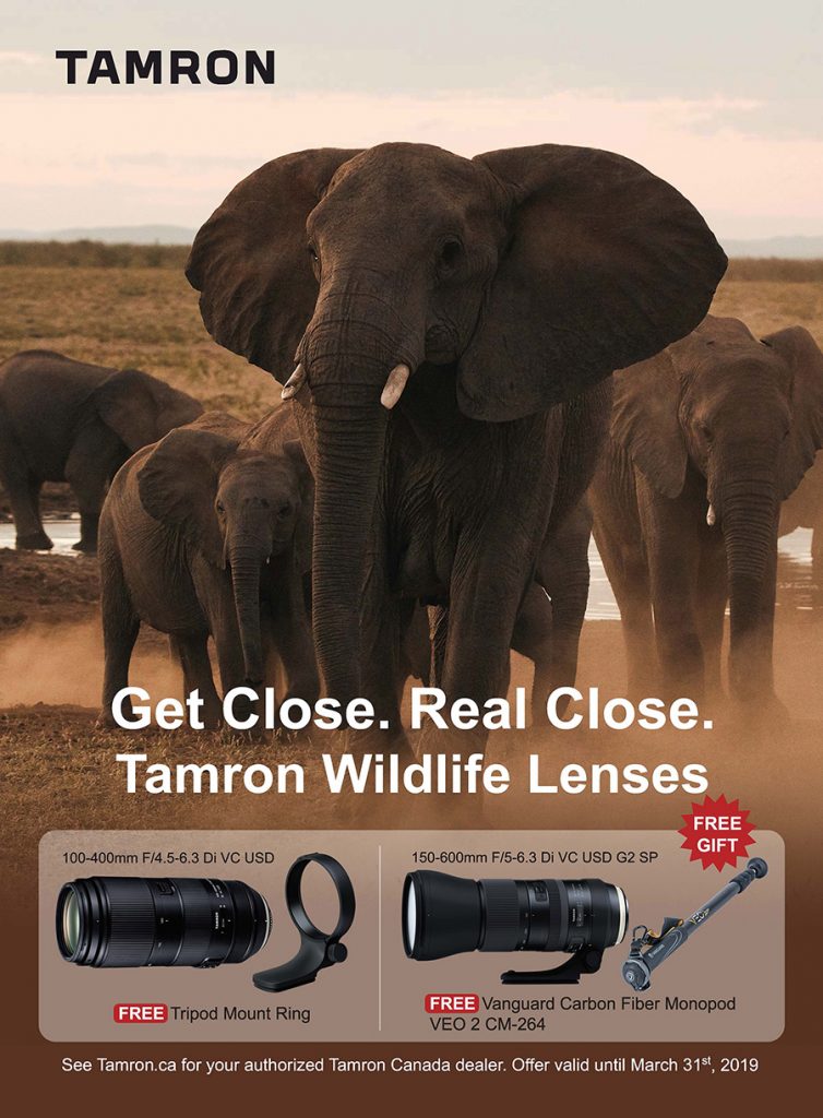 Tamron March Promo