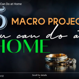 5 Macro Projects You Can Do at Home