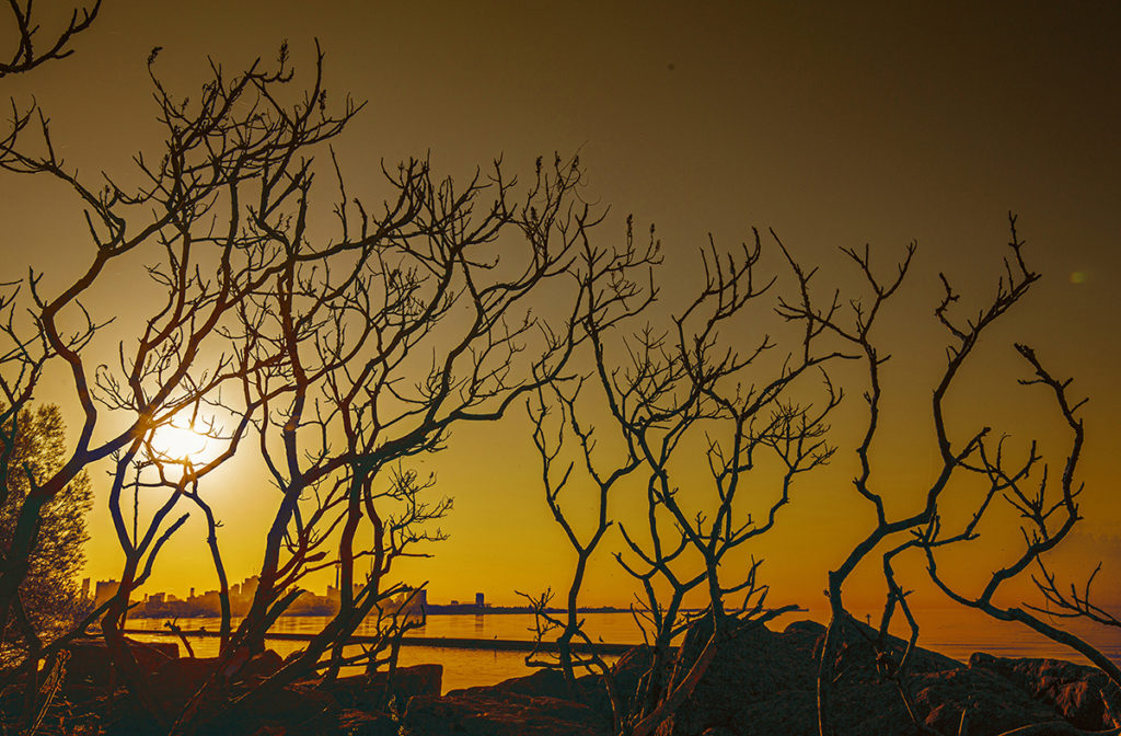 Martin Goodman Trail, Toronto