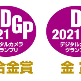 DGP Award 2021