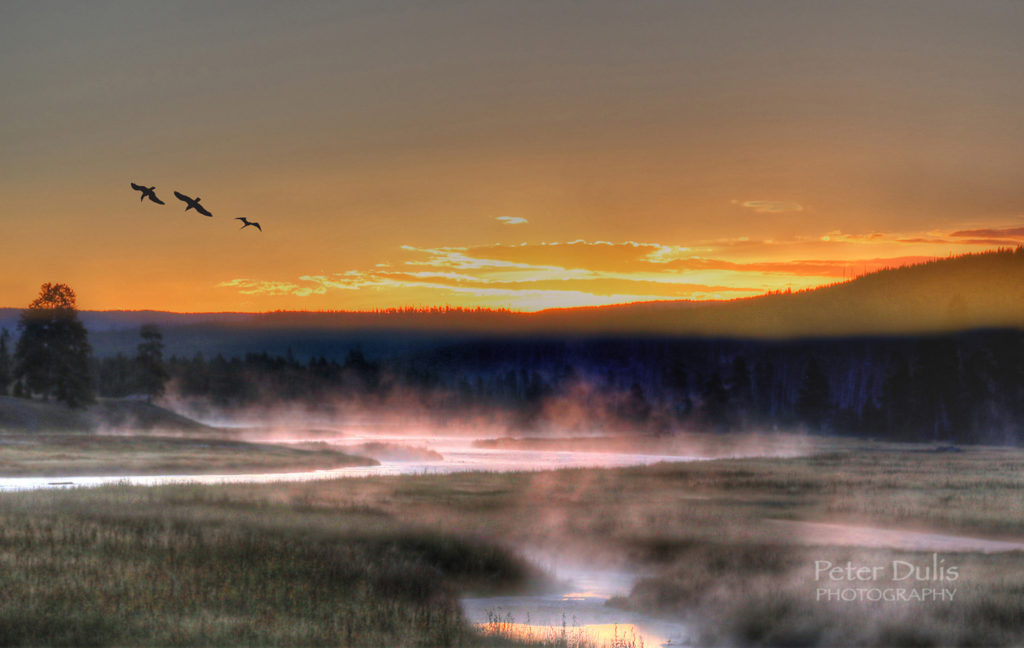 Madison River – Madison Valley 