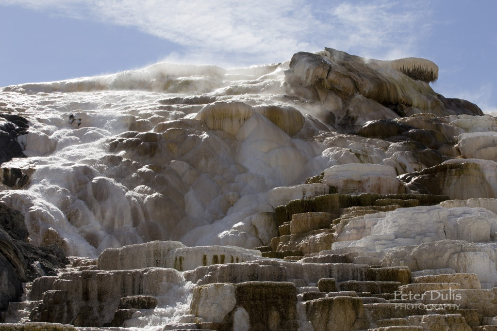 Mammoth Hot Springs – Lower Terrance