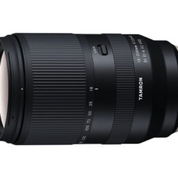 Tamron 18-300mm F/3.5-6.3 Di III-A VC VXD