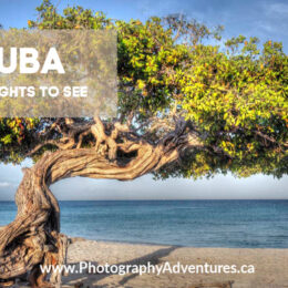 Travels to Aruba: A Photo Adventure