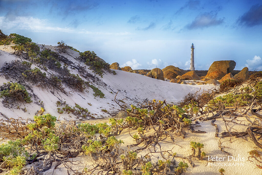 California Dunes in Aruba