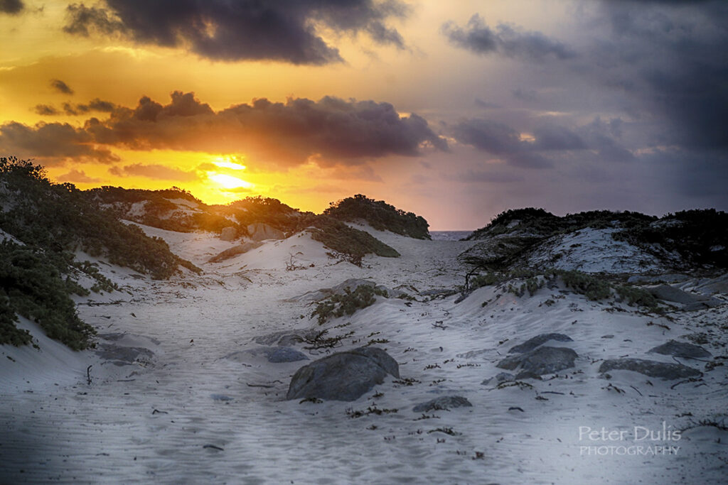 Aruba Sand Dune Sunrise