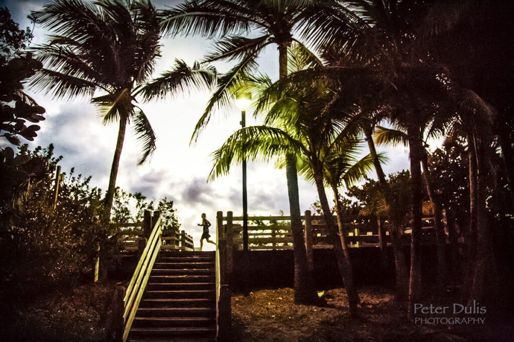 Morning Boardwalk Run