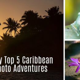 Top 5 Caribbean Photo Adventures
