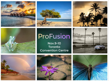 profusionexpo.com 