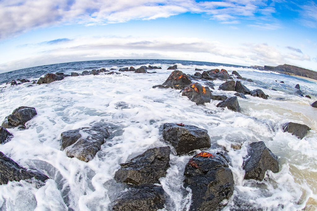 Wave-battered shore