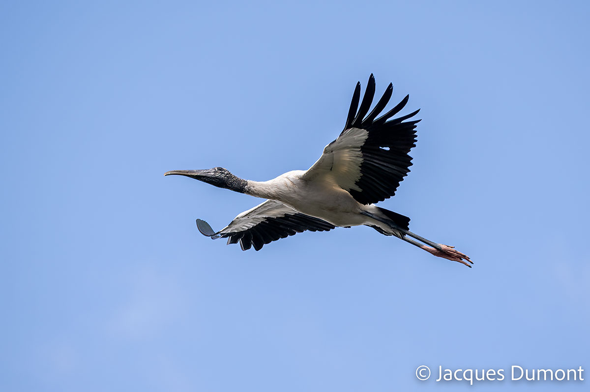 Sadr Region Tamron 70-300 (RolfW) - AstroBin