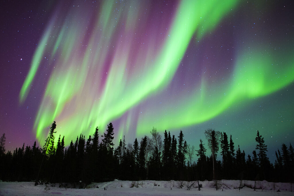 Aurora borealis (northern lights), boreal forest, Yellowknife environs, NWT, Canada