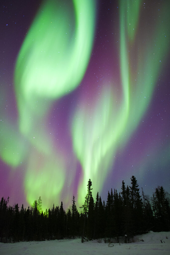 Aurora borealis (northern lights), boreal forest, Yellowknife environs, NWT, Canada