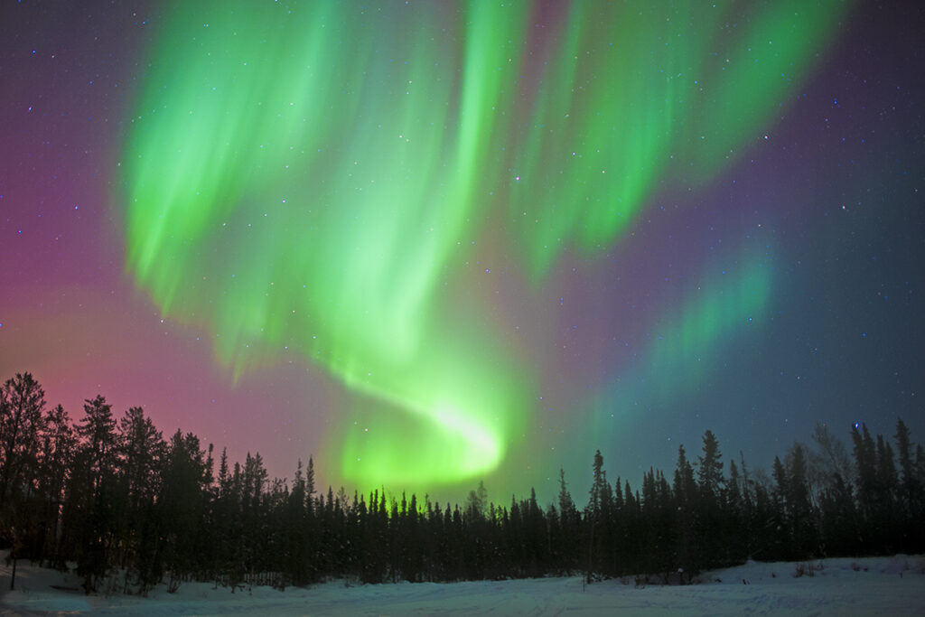 Aurora borealis (northern lights), boreal forest, Yellowknife environs, NWT, Canada