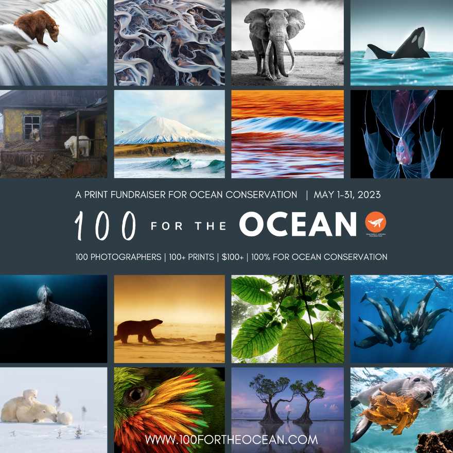 100 For The Ocean - PHOTONews Magazine