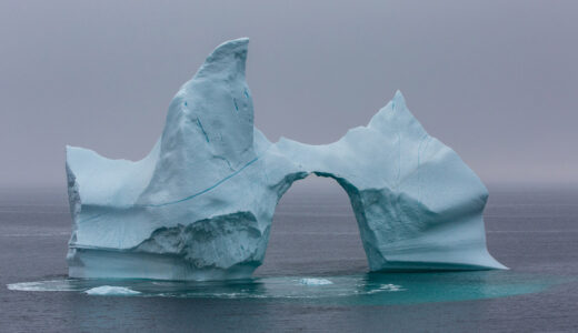 THEY’RE BACK! How to photograph icebergs!