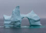 THEY’RE BACK! How to Photograph Icebergs?