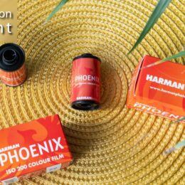 Harman Phoenix 35mm Film - Social Photo Walk - Fri. May. 24