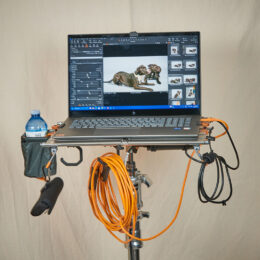 (c) Will Prentice All Rights Reserv