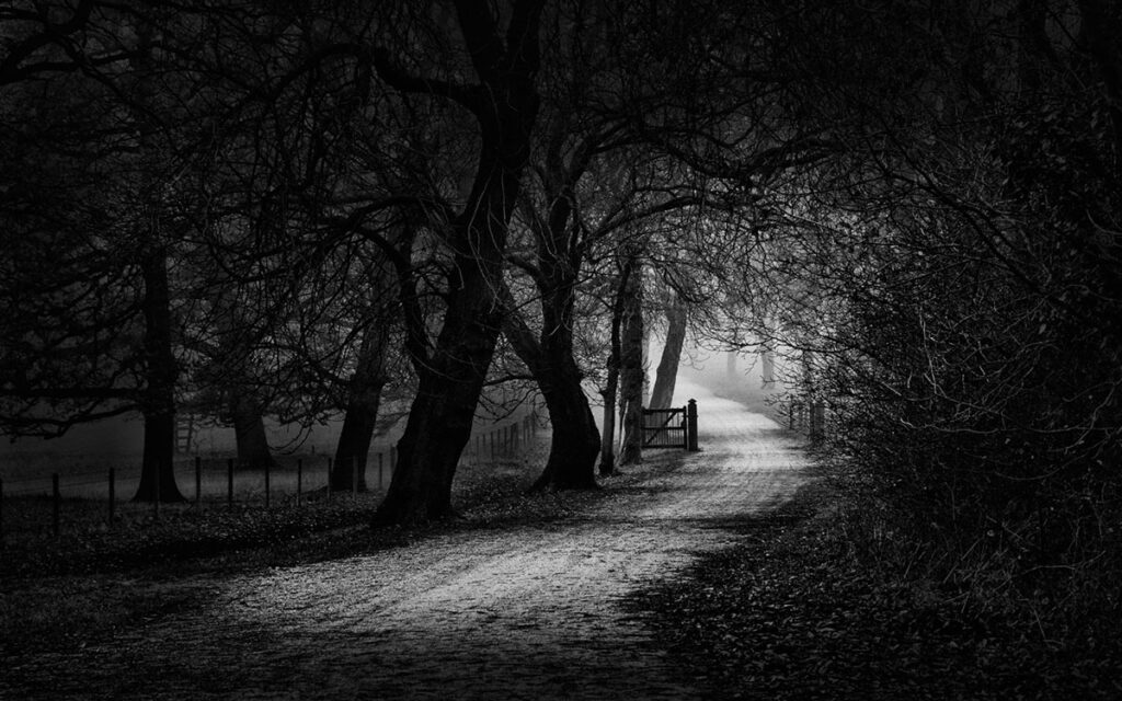 2026 WPC Team Canada, NatureLandscape, JACQUELINE HARBIDGE, Cochrane AB