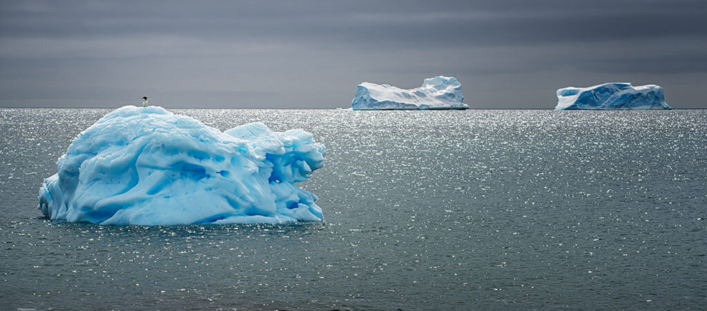 2026 WPC Team Canada, NatureLandscape, STEVE PELTON, Abbotsford BC